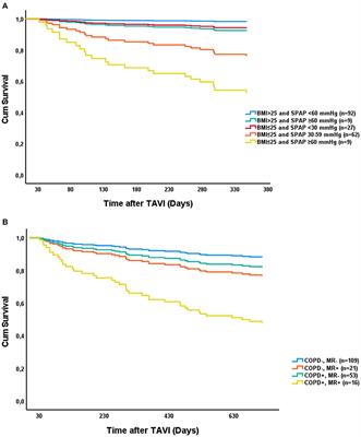 Clinical and Echocardiographic Parameters Predicting 1- and 2-Year Mortality After Transcatheter Aortic Valve Implantation